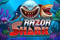 Razor Shark