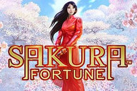 Sakura Fortune